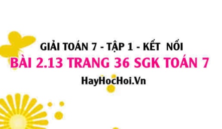 Giải bài 2.13 trang 36 Toán 7 Tập 1 SGK Kết nối tri thức